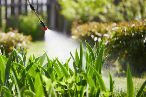 24/7 Emergency Mosquito Control experts in Reedsburg, WI
